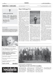 Síða 12