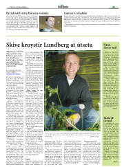 Síða 17