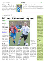 Síða 19