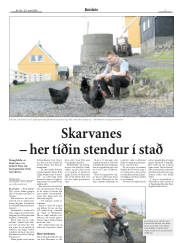 Síða 3