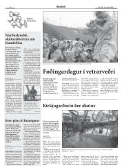 Síða 6