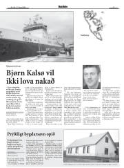 Síða 13