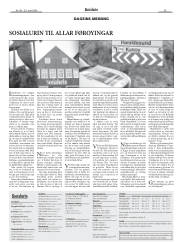 Síða 22