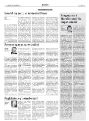 Síða 11