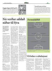 Síða 17