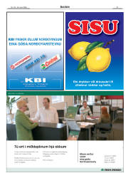 Síða 31