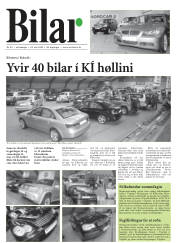 Síða 35