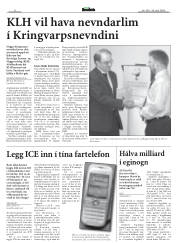 Síða 8
