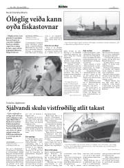 Síða 9