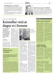 Síða 17