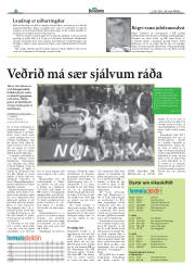 Síða 18