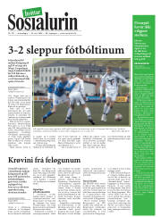 Síða 19