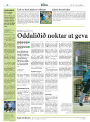 Síða 22