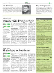 Síða 27