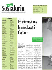 Síða 12