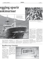 Síða 15