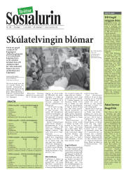 Síða 27
