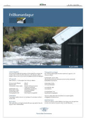 Síða 2