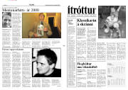 Síða 13
