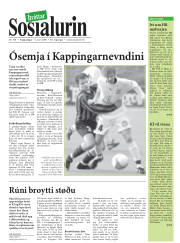 Síða 15