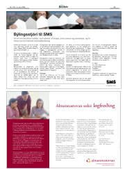 Síða 25