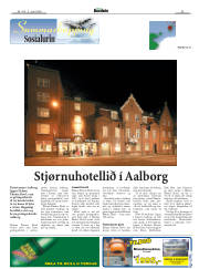 Síða 41