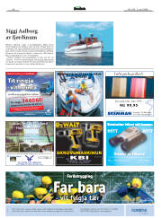 Síða 42