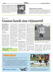 Síða 19