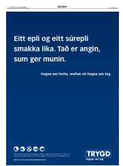 Síða 3