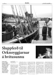 Síða 8