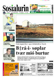 Síða 1