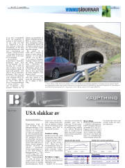Síða 20