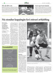 Síða 33