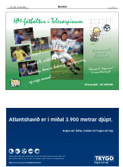 Síða 3