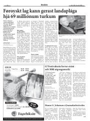 Síða 20
