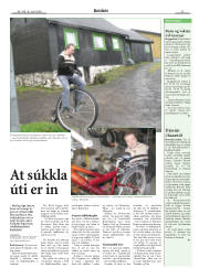 Síða 27