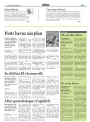 Síða 17