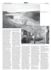 Síða 35