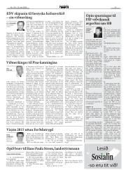 Síða 11