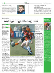 Síða 21