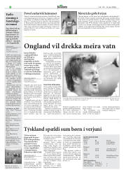 Síða 29
