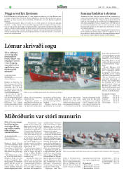 Síða 17