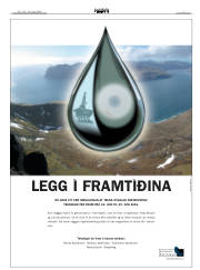 Síða 3