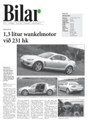 Síða 14