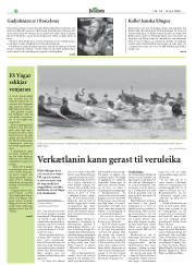 Síða 17