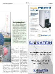 Síða 22