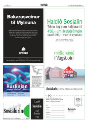 Síða 33