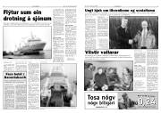 Síða 3