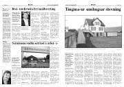 Síða 3