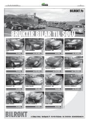 Síða 41